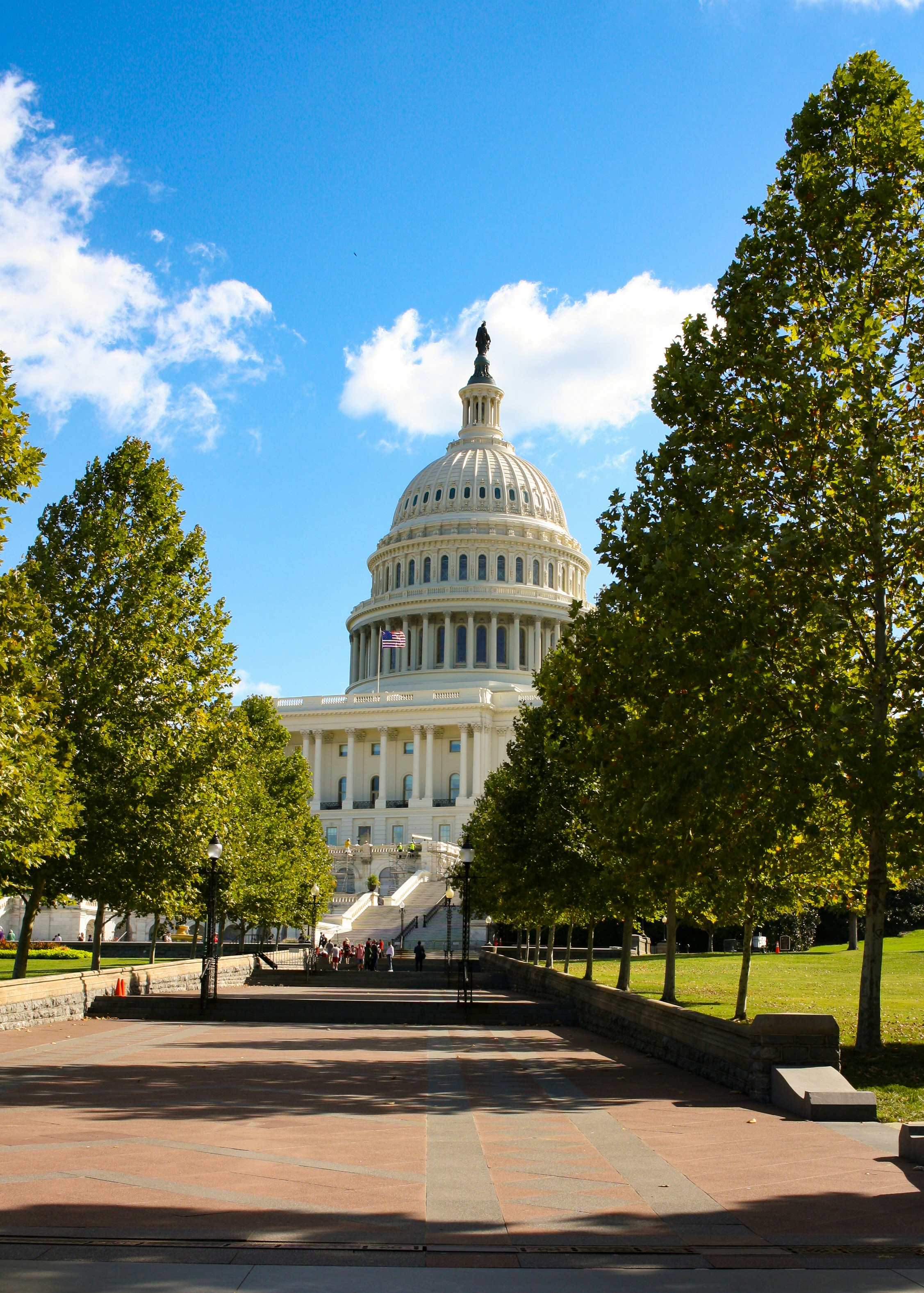 Capitol building with clear blue sky and trees in foreground bright daylight
