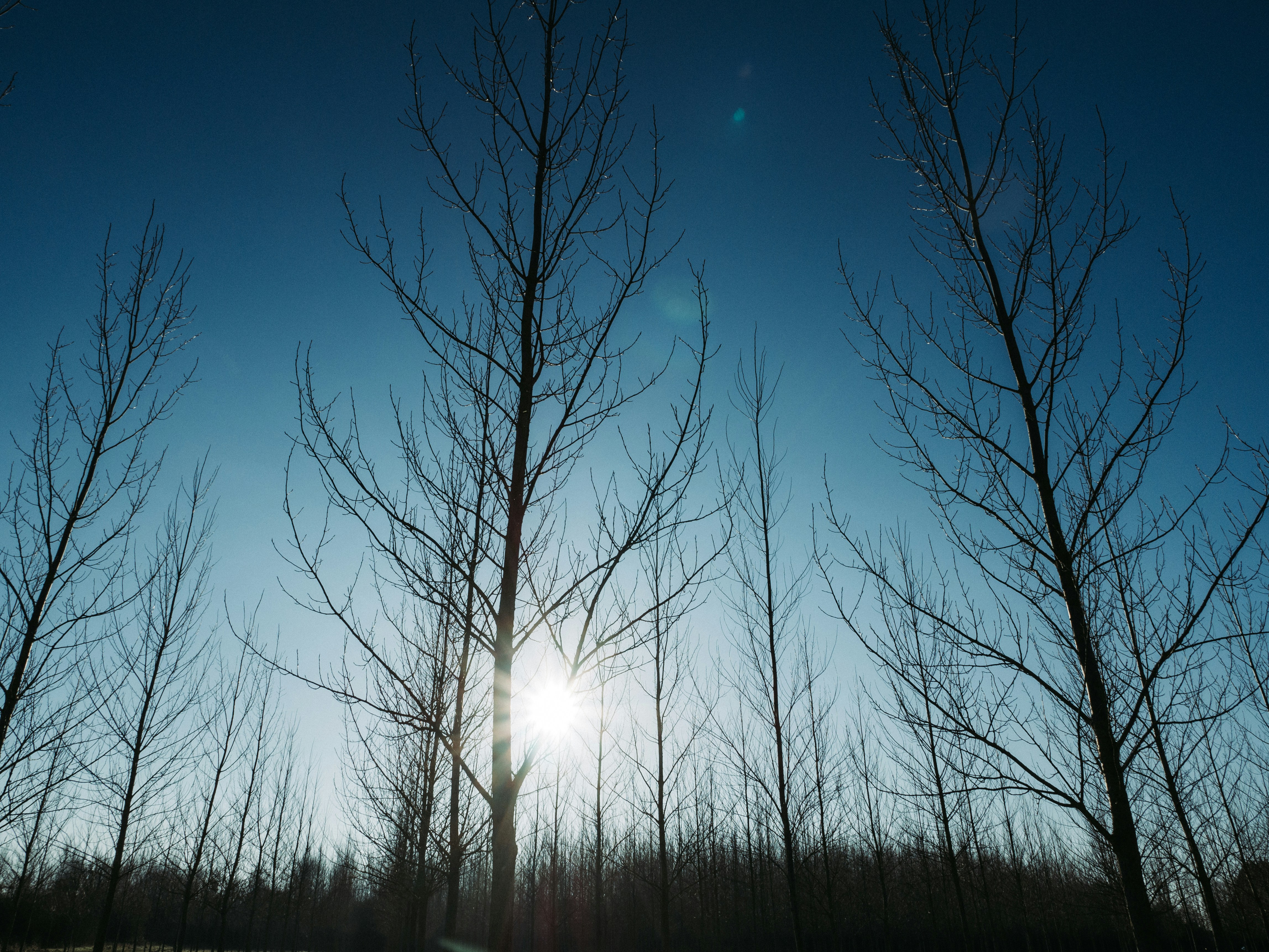 Photo by mattseymour