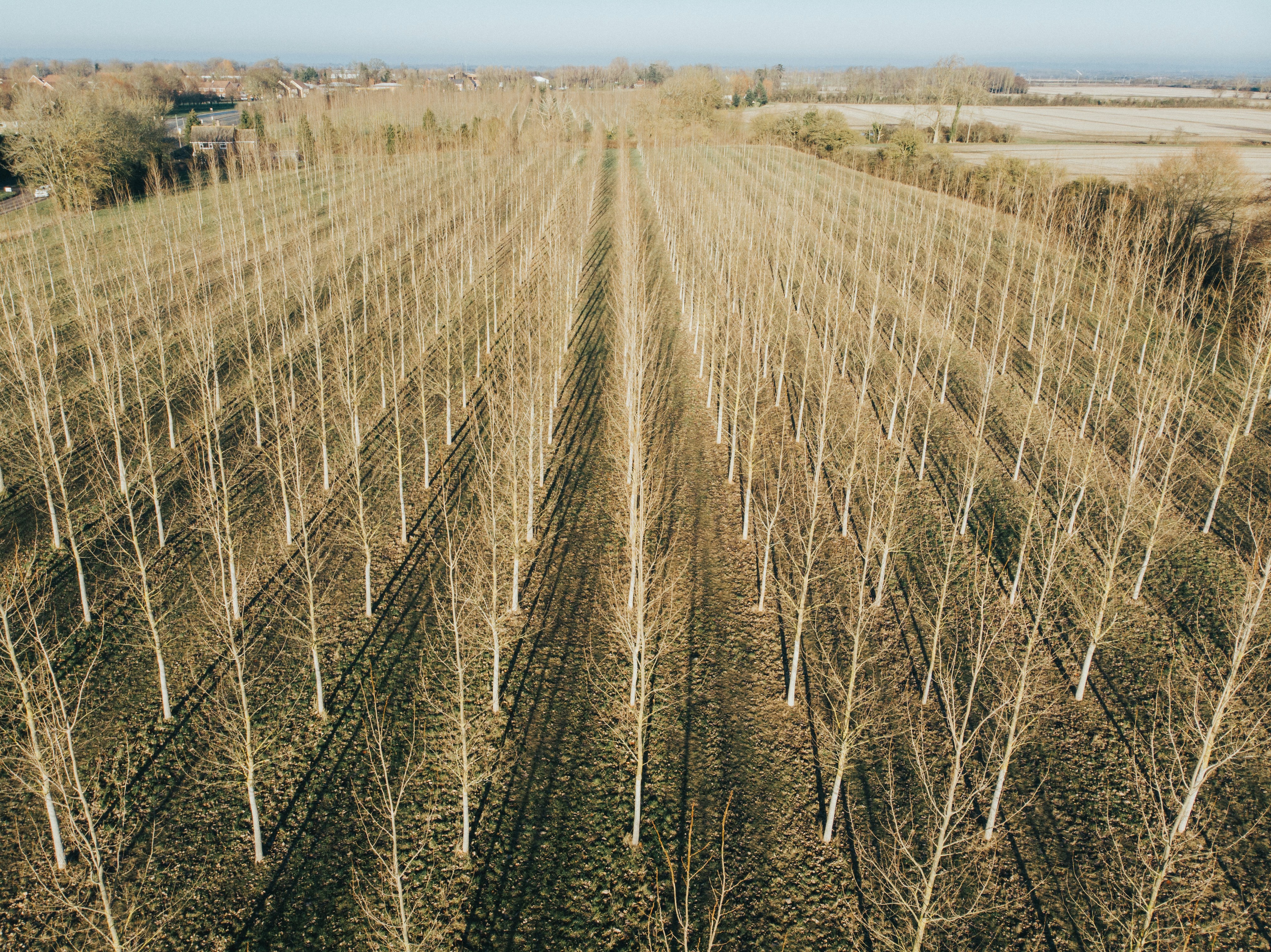 Photo by mattseymour