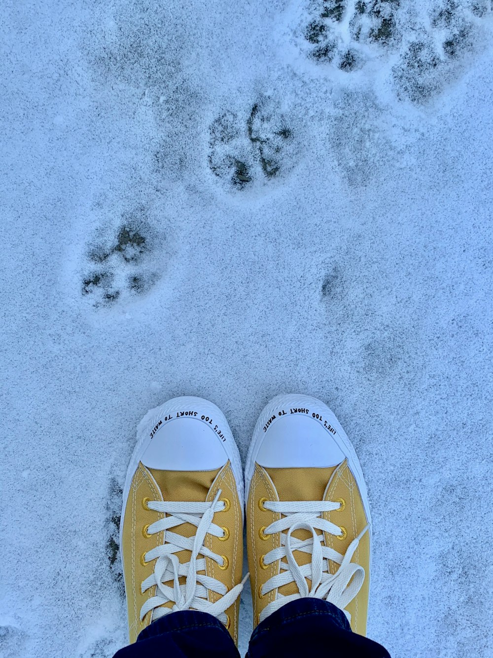 pair of brown-and-white low-top sneakers