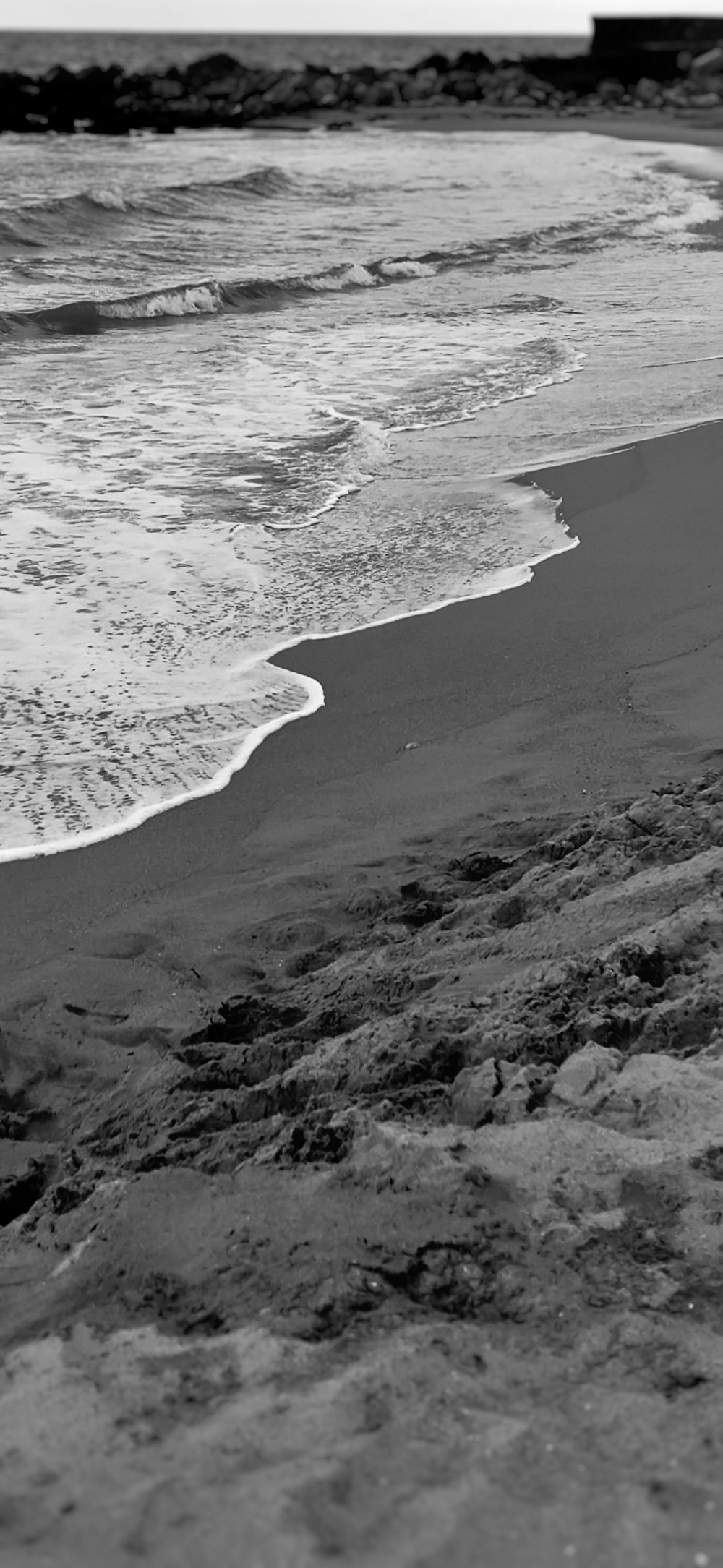 foto in scala di grigi di riva del mare