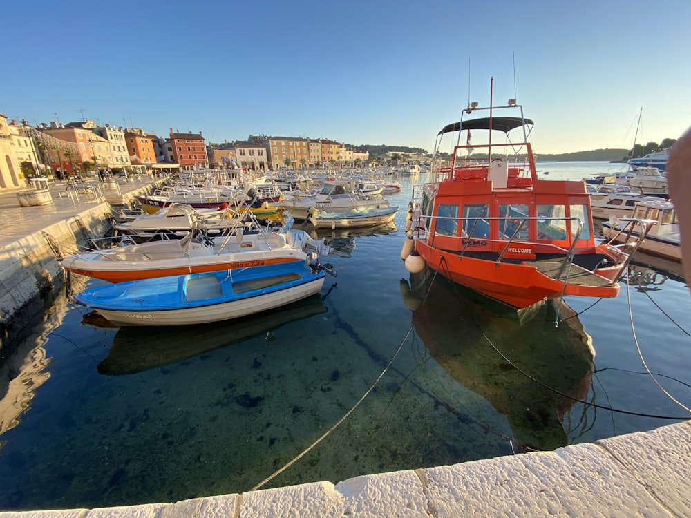 Quai du port brun et gris