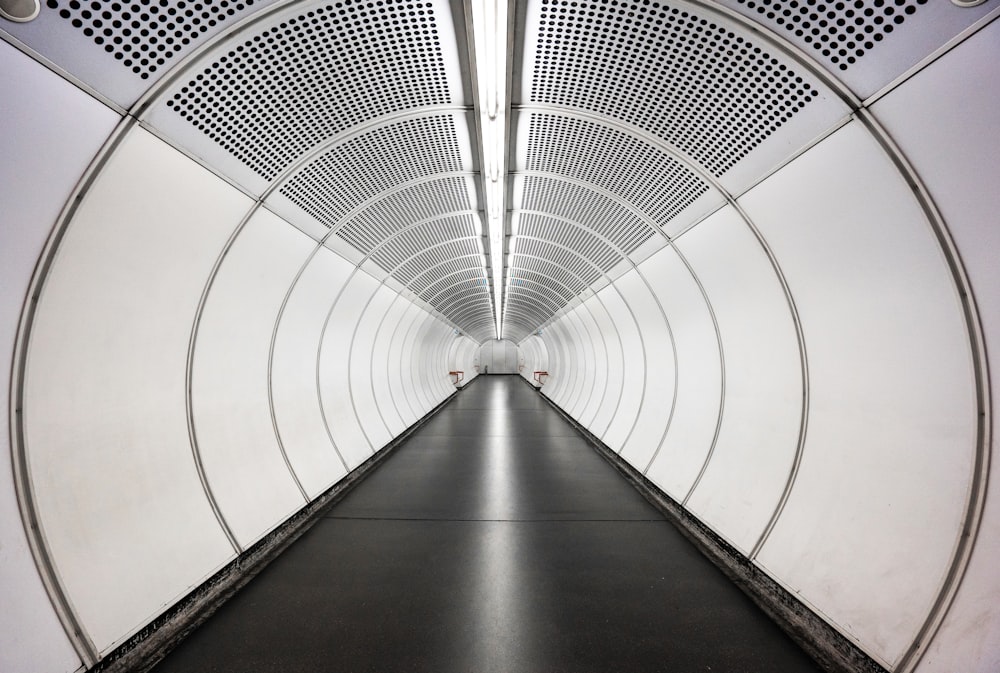 landscape photography of a lighted tunnel road