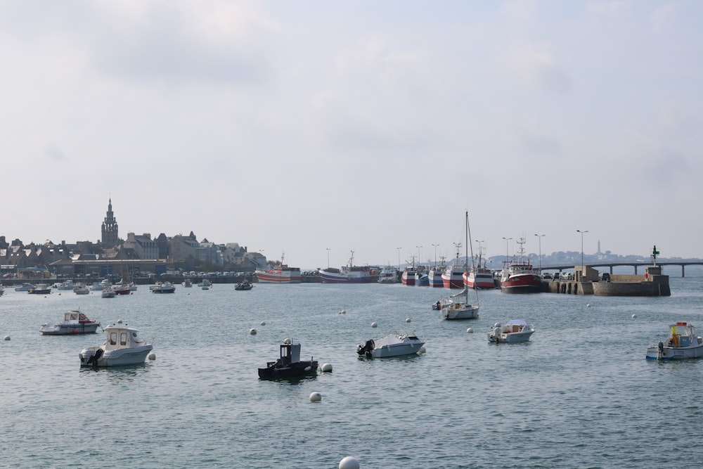 sailing boats during daytime