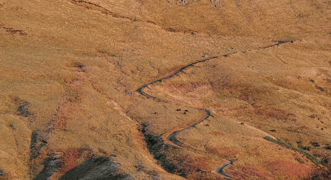 rocky field during day