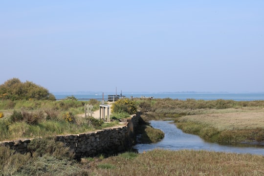 body of water under clear blue sky in Saint-Armel France