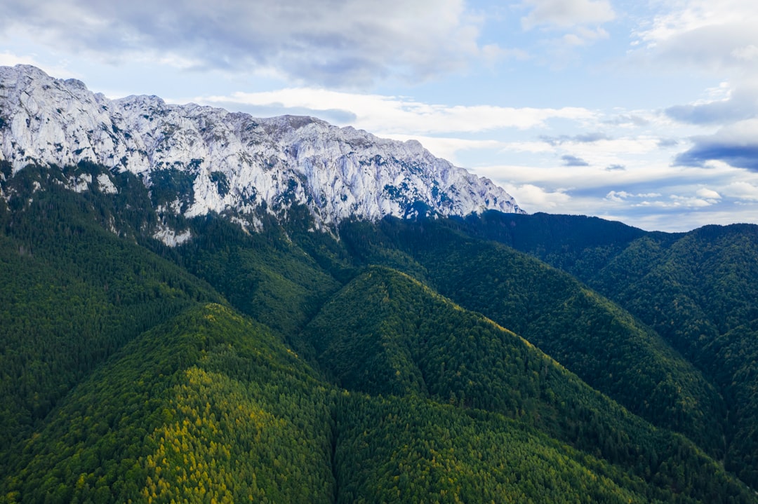 Hill station photo spot Piatra Craiului Moieciu de Sus