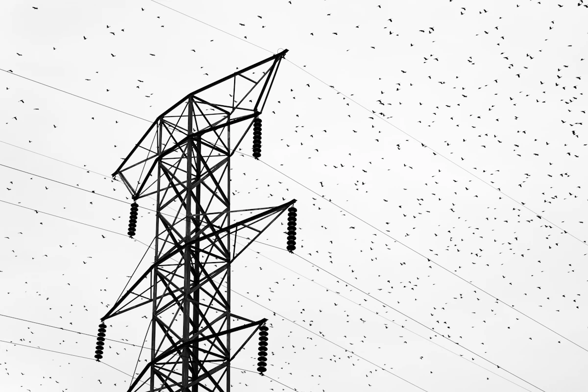 Connecticut Interconnection Queue: 323 Projects