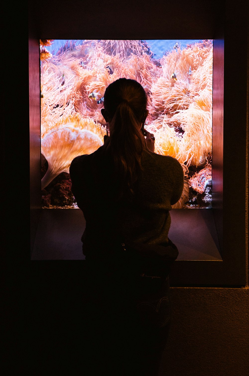 woman sitting down while looking at an aquarium