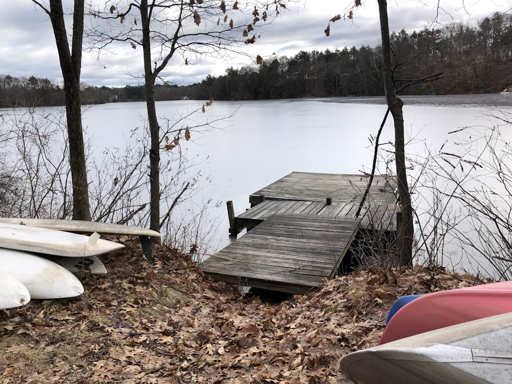 boats on ground with dried leaves