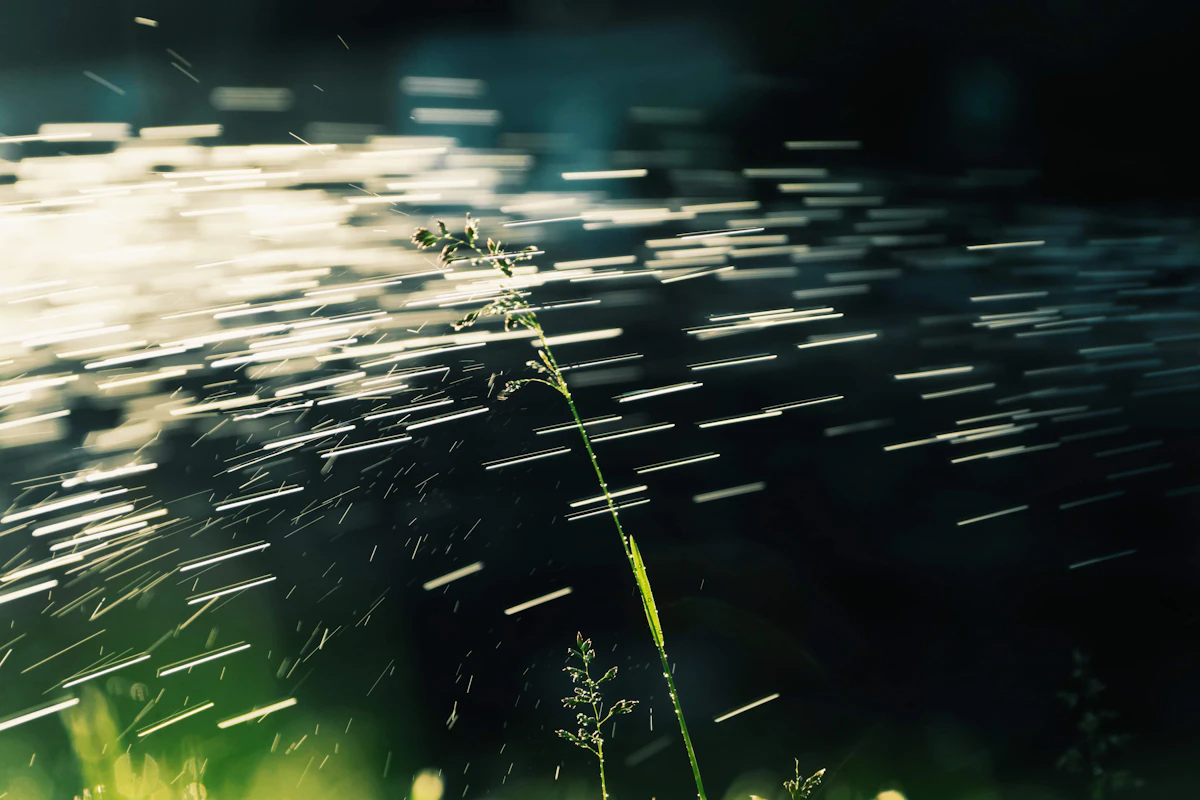 Close detail of healthy grass