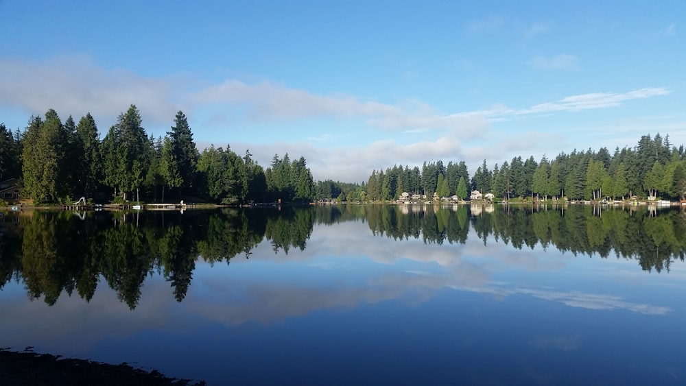 houses near body of water surrounded with green trees under white and blue sky