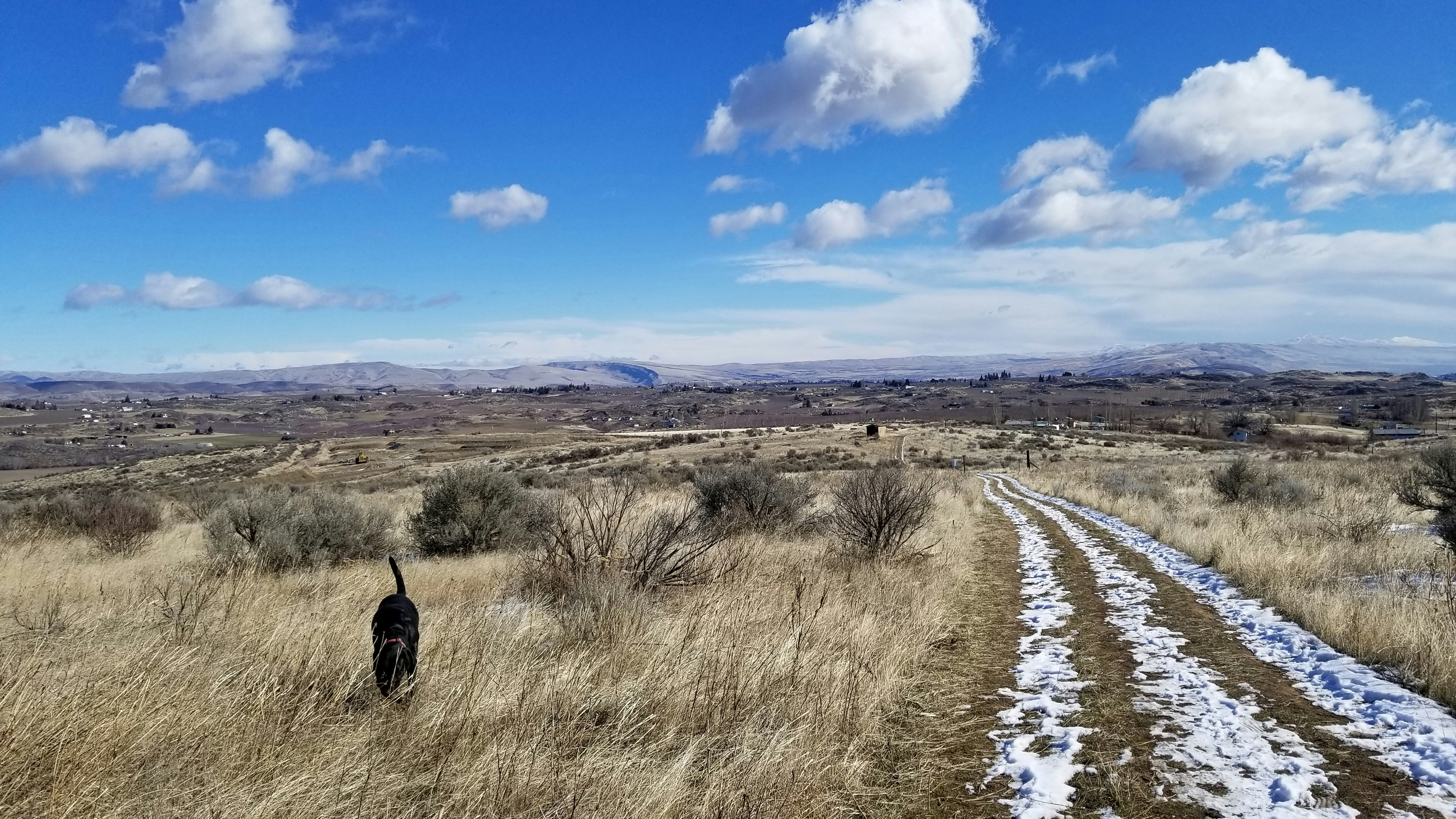 road near brown field under white and blue sky
