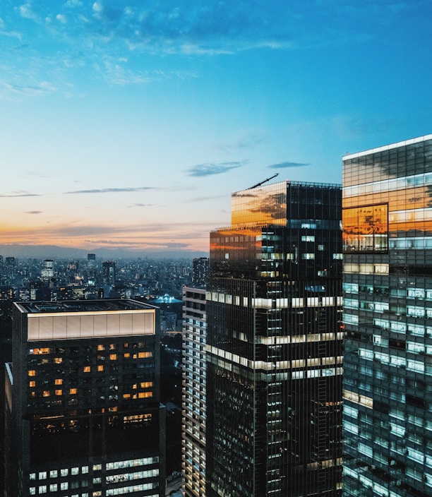 birds-eye view of cityscape under blue sky