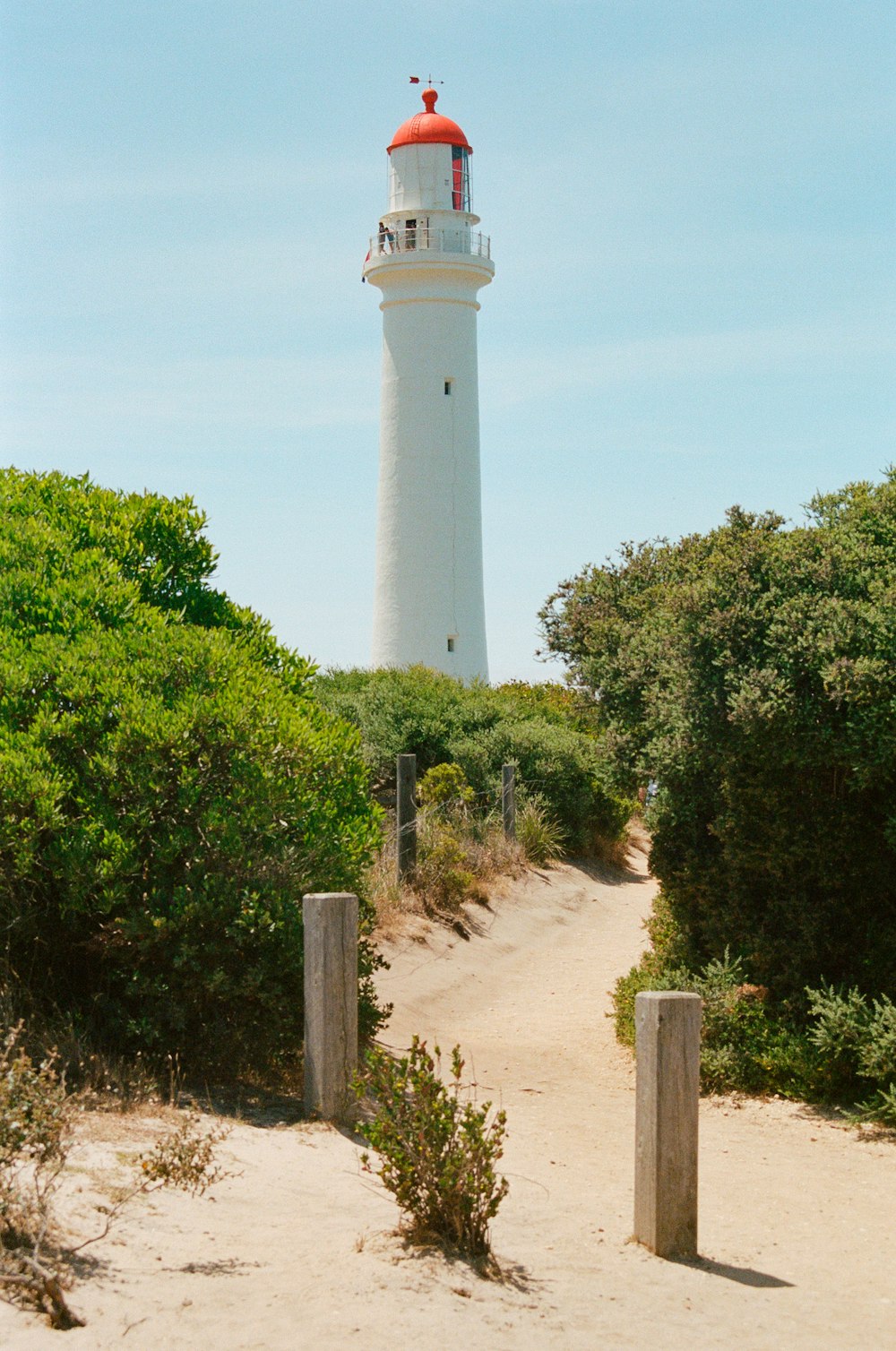 lighthouse near trees during day