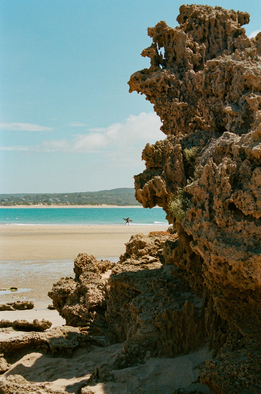 brown rock reef near seashore
