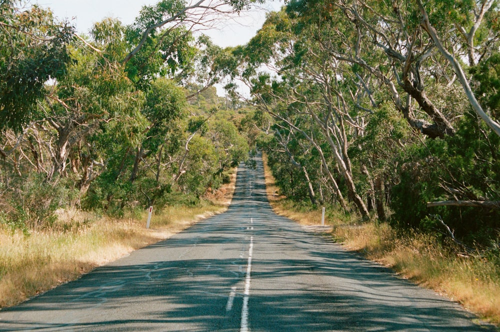 road pavement photograph