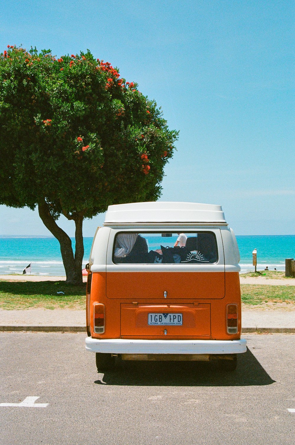 van parked at the side of the road near tree and beach during day