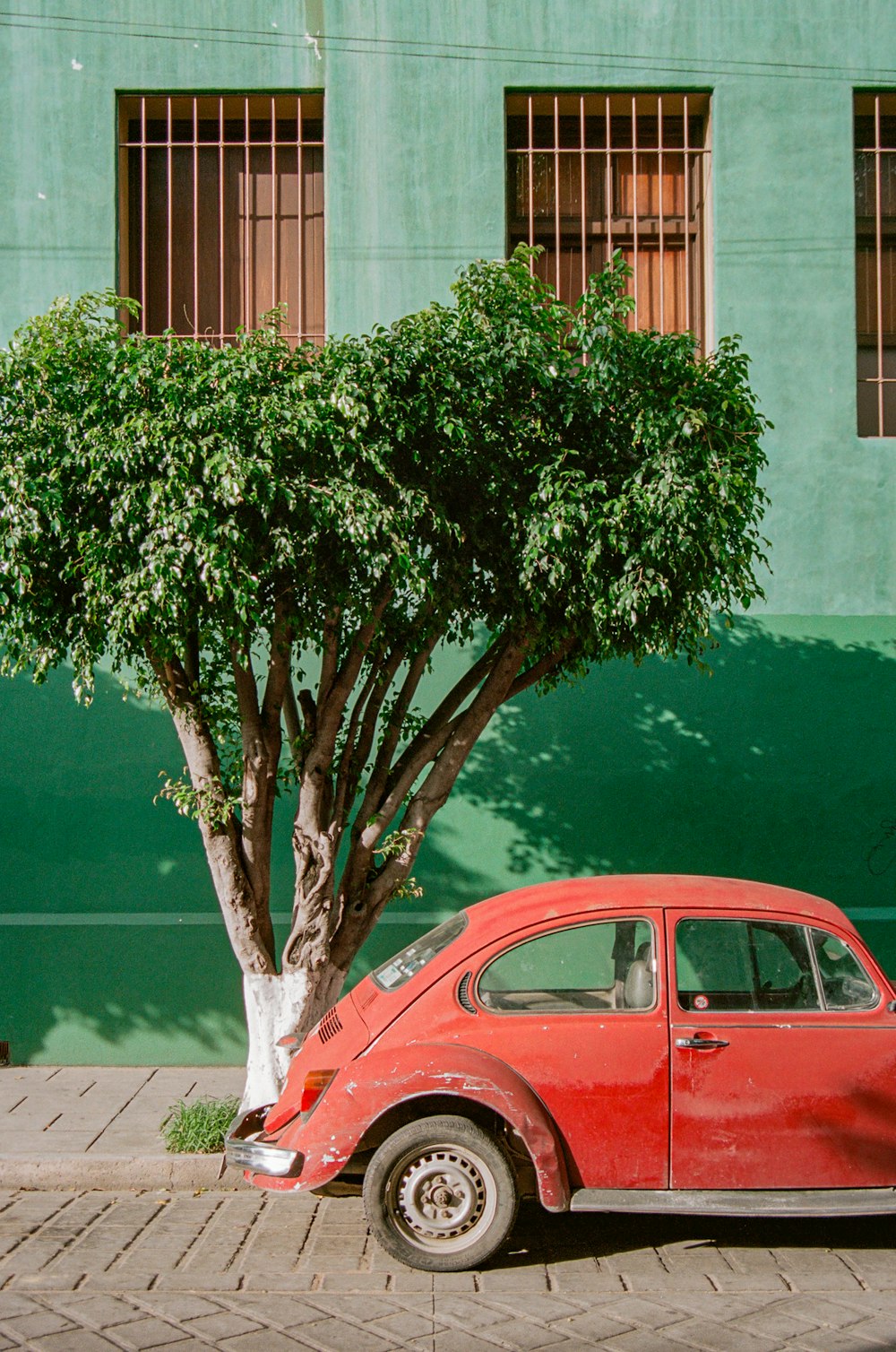 classic red Volkswagen Beetle coupe parked beside curb, tree, and building during day