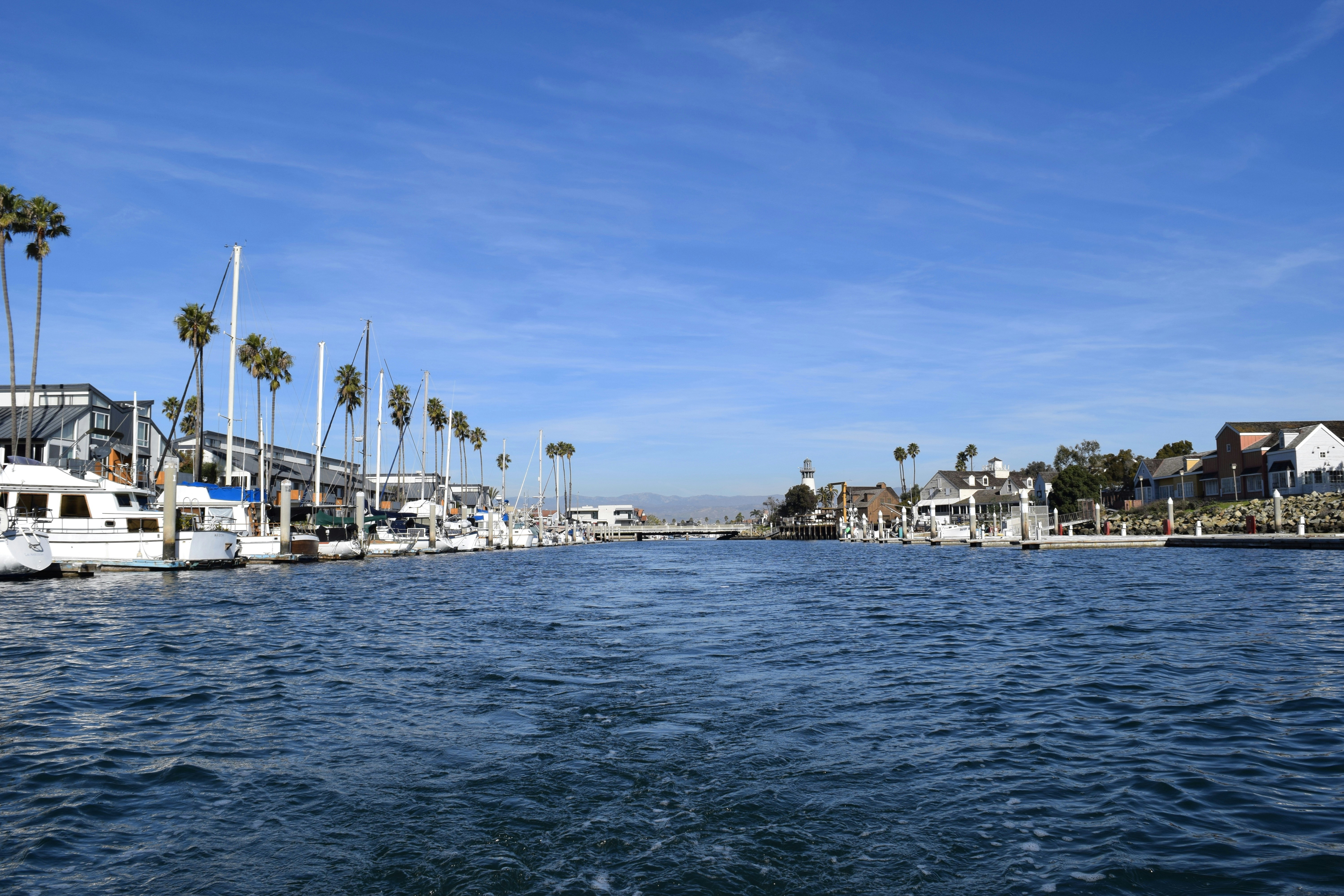 Photo by zacharytheodore