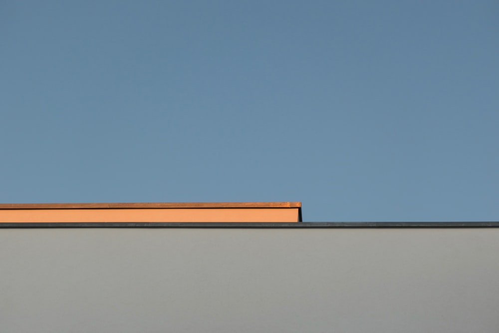 a bird is perched on top of a building