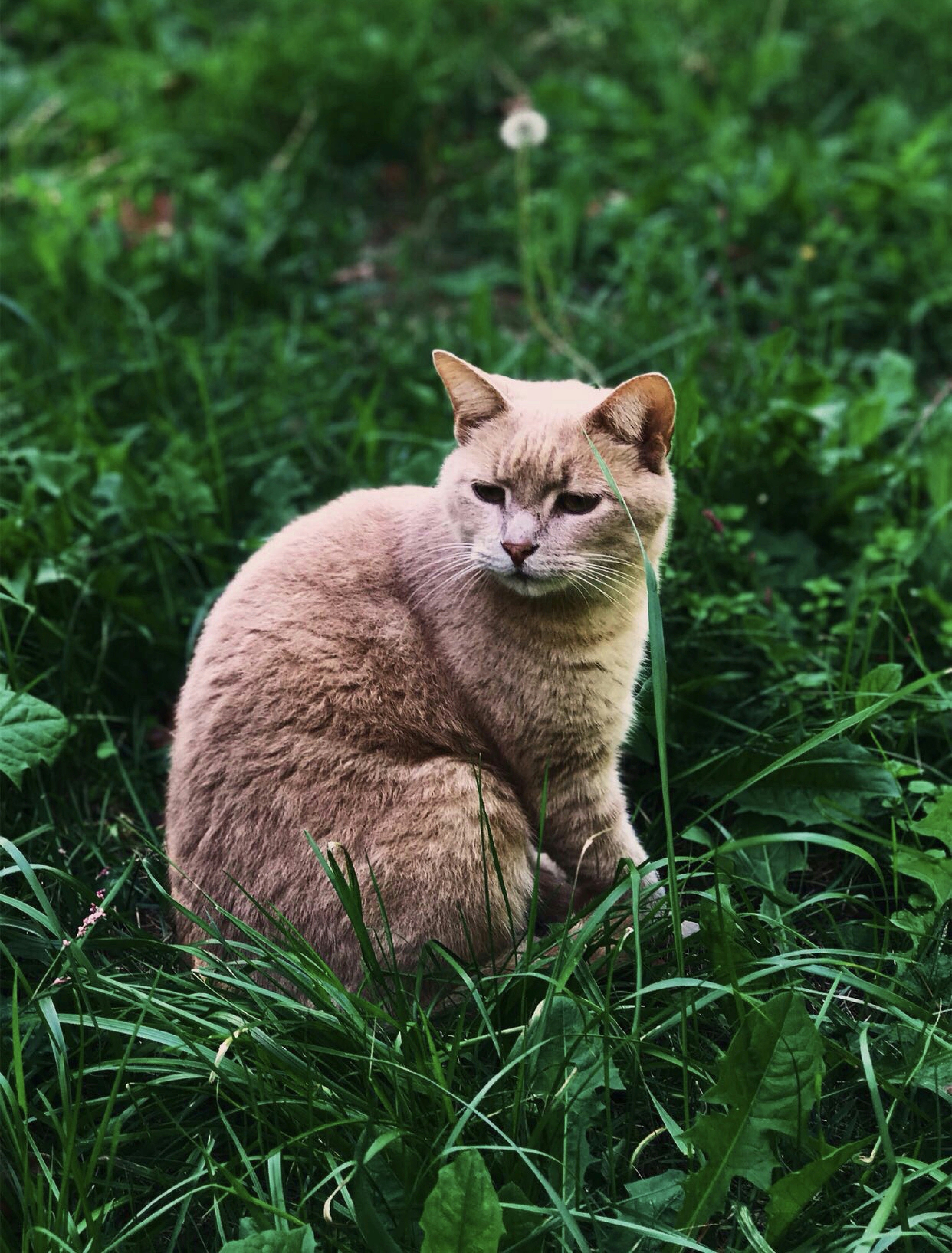 Photo by mariumqureshi_