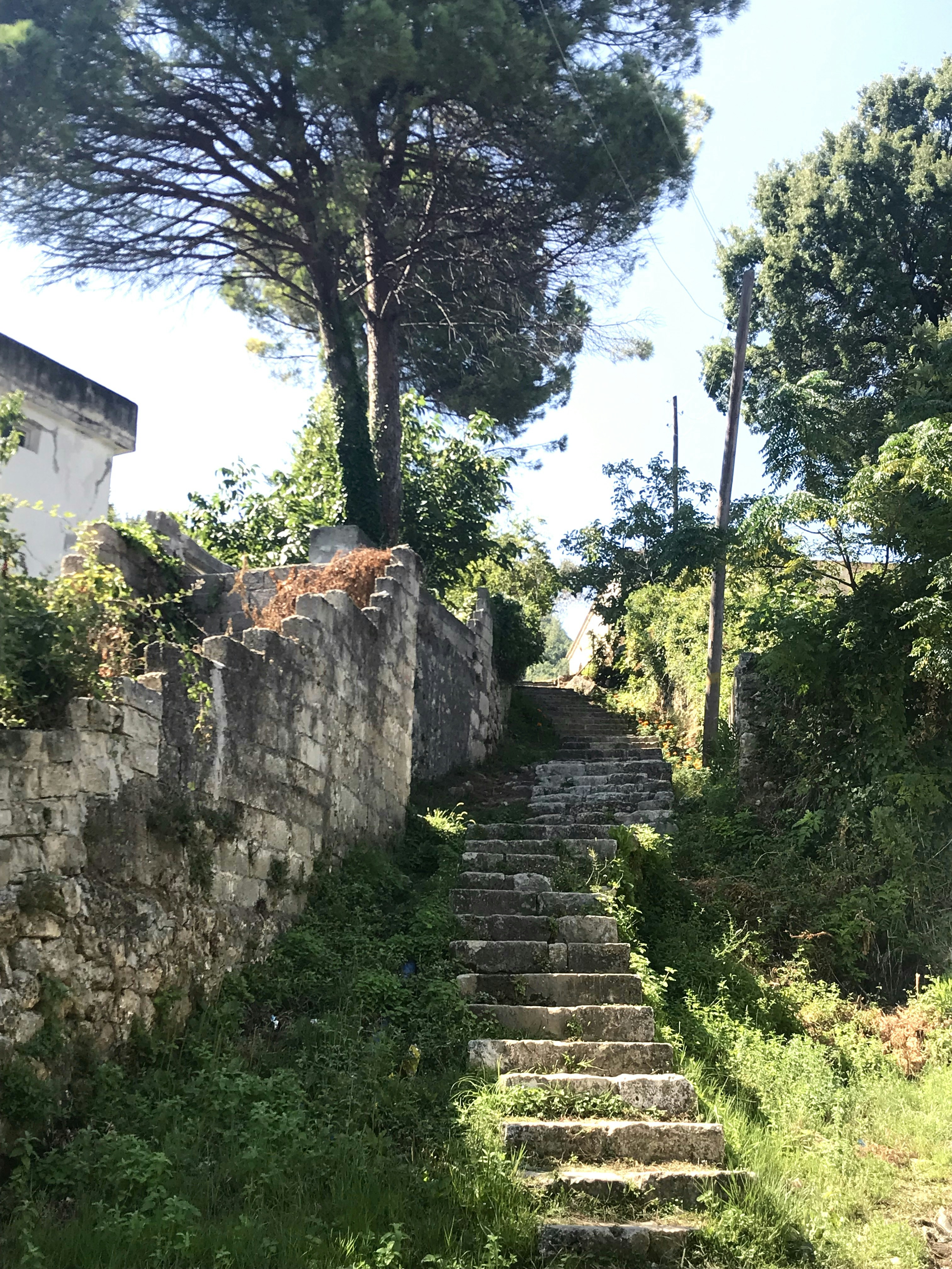 concrete stairs beside brick wall
