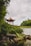 a gazebo sitting on top of a lush green hillside