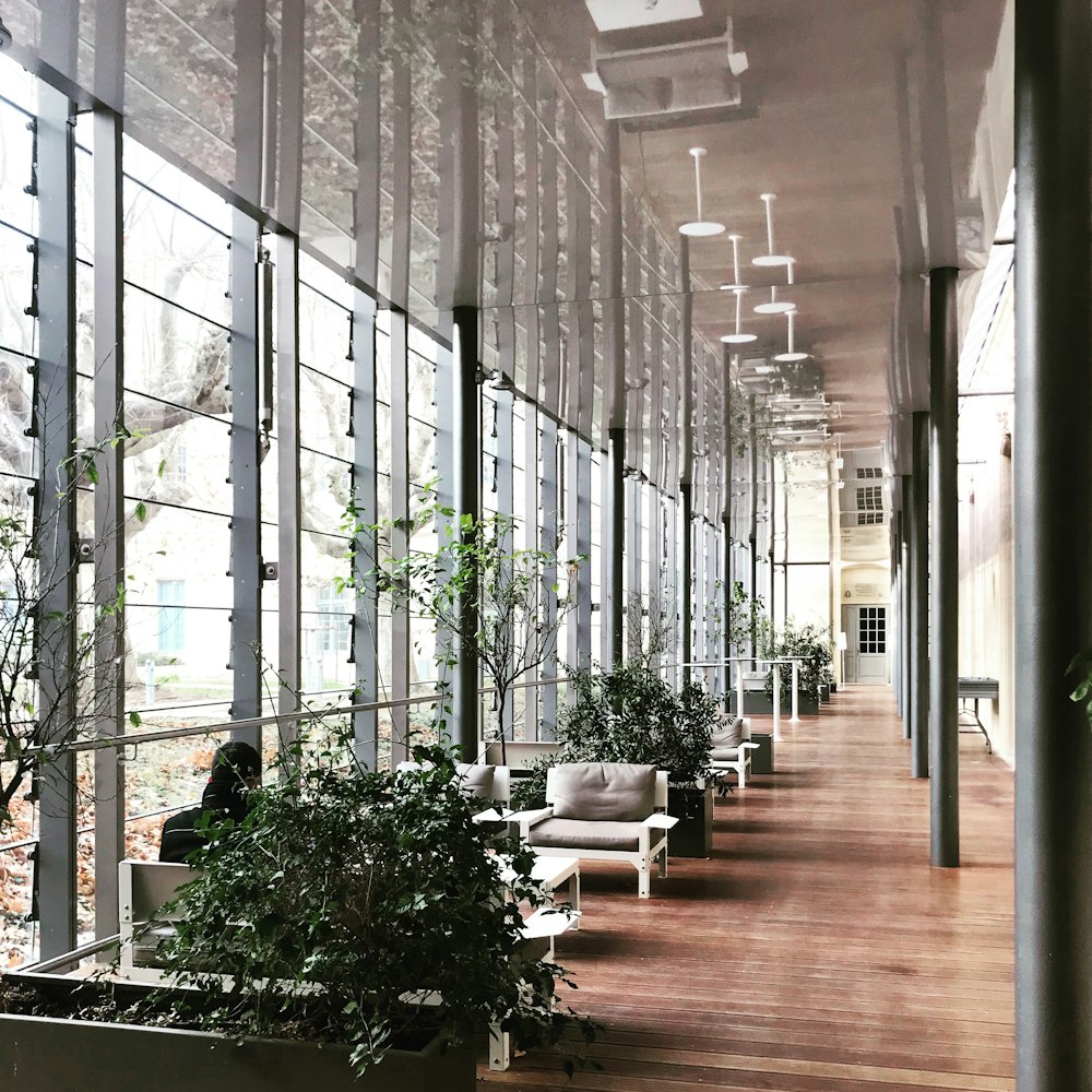 empty white and brown hallway interior