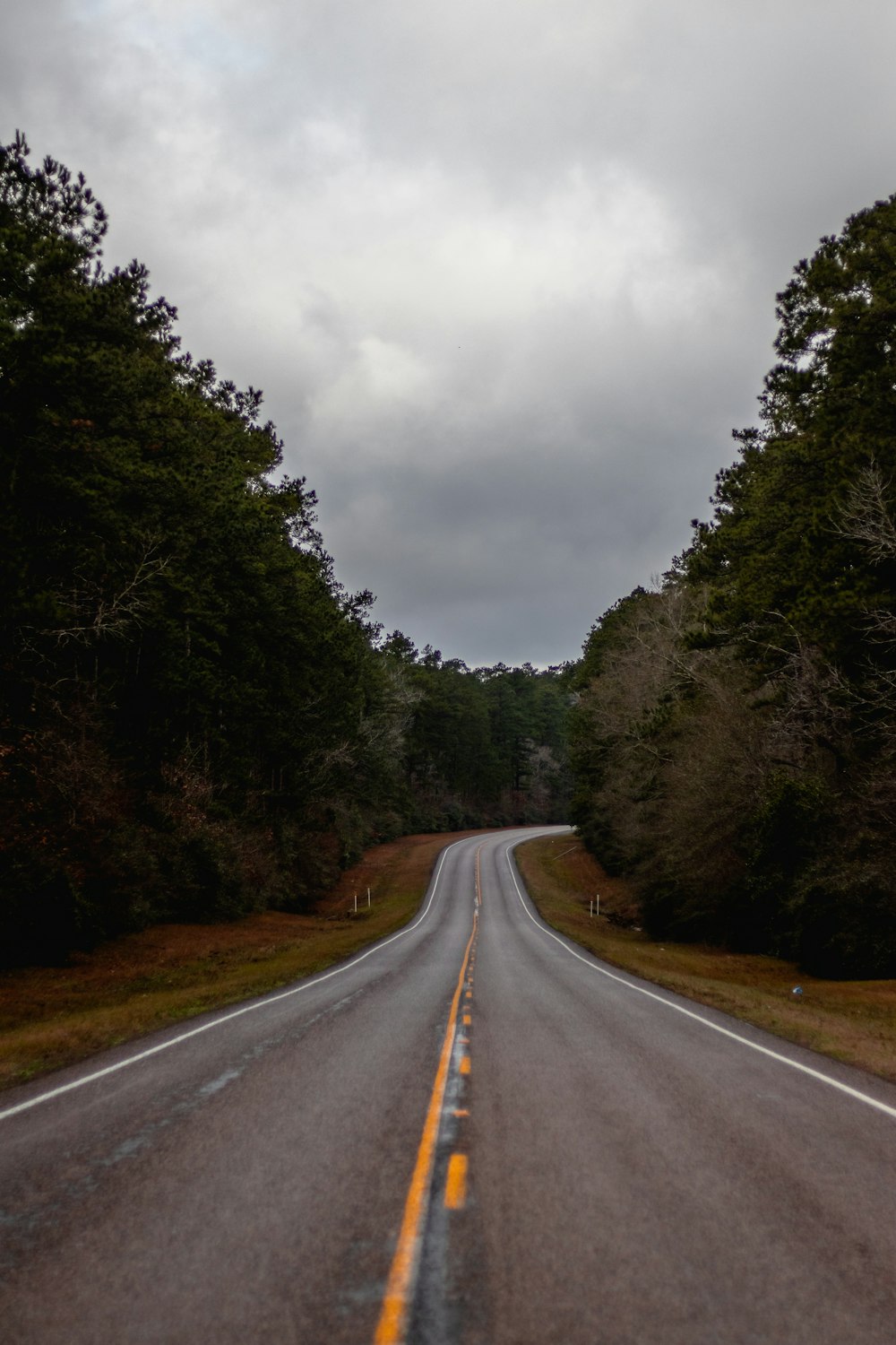 gray concrete road between trees during daytime