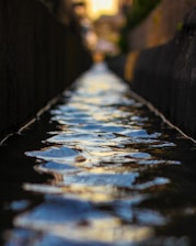 selective focus photography of water canal