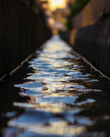 selective focus photography of water canal