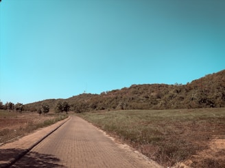 A pathway made of cobblestones stretches into the distance, flanked by grassy fields and trees. In the background, a hill covered in dense greenery dominates the landscape, with a clear blue sky overhead.