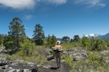A person wearing a hat and carrying a backpack is walking along a rocky path surrounded by lush green vegetation. Tall trees are scattered throughout the landscape, which stretches towards distant snow-capped mountains under a clear blue sky.