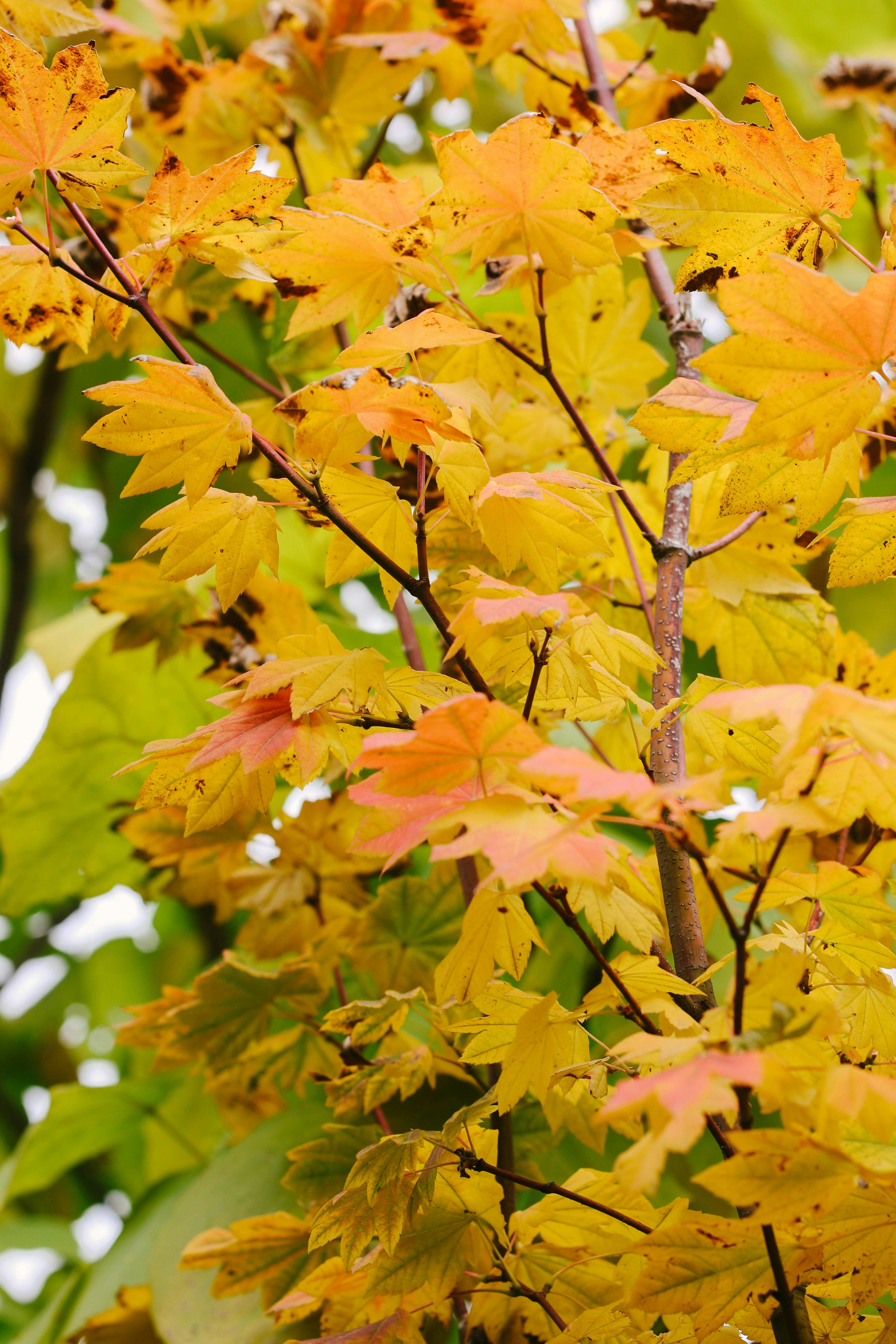 Photo by rocioramirezzz