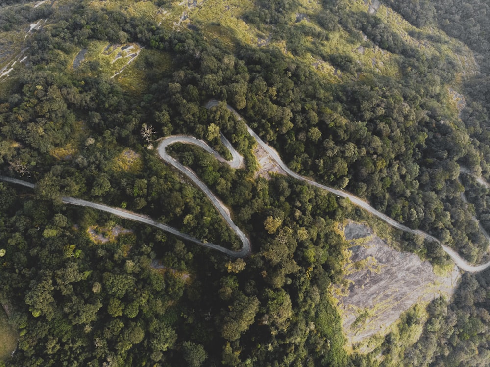 aerial photograph of road on hill between trees