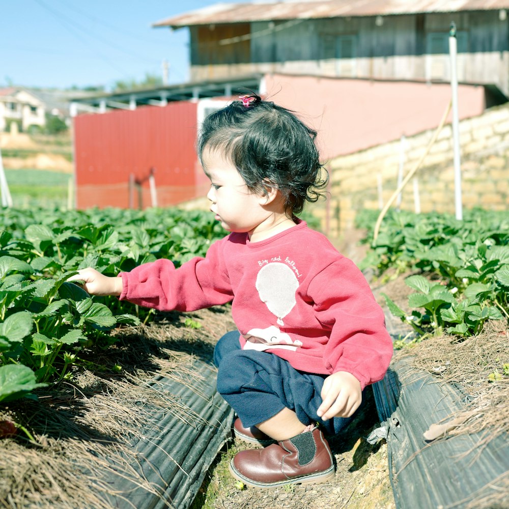 girl holding green leaf plant