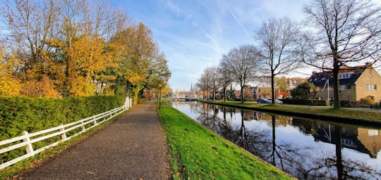 brown trees near body of water during daytime in Weesp Netherlands