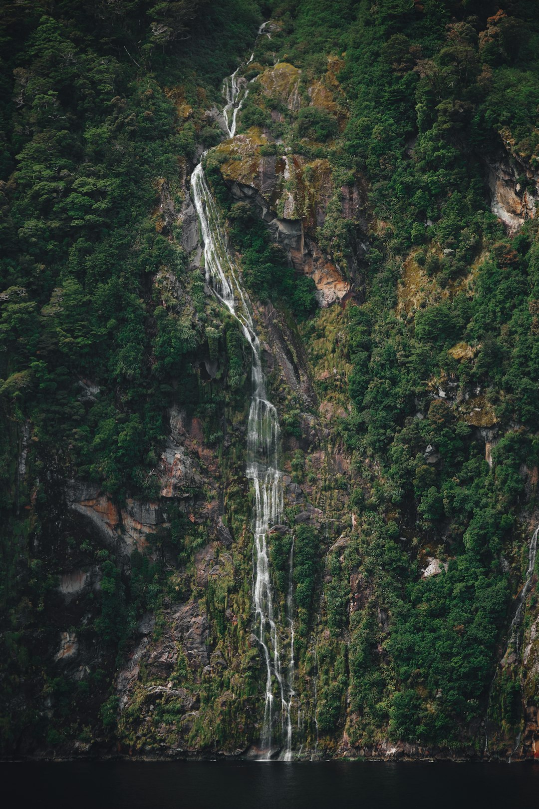 travelers stories about Waterfall in Milford Sound, New Zealand