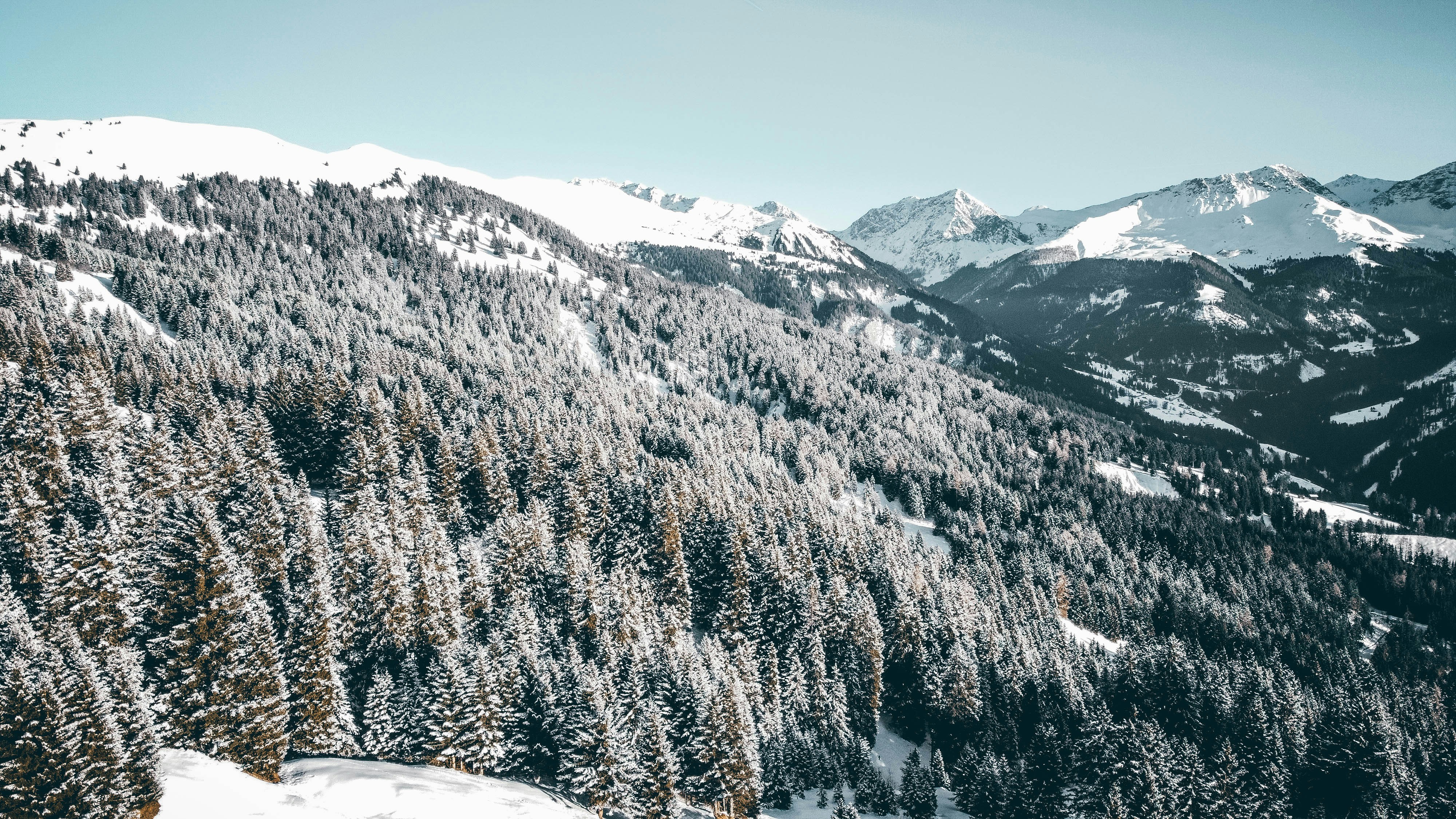 Photo by janoschphotos