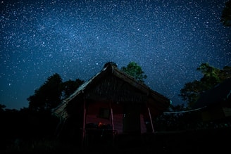 A rustic hut with a thatched roof stands silhouetted against a vast, star-filled night sky. Surrounding trees are visible, adding to the serene and natural setting. The sky is densely sprinkled with stars, creating a breathtaking celestial view.