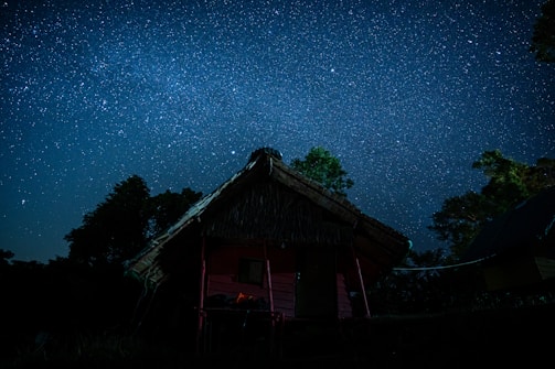 A rustic hut with a thatched roof stands silhouetted against a vast, star-filled night sky. Surrounding trees are visible, adding to the serene and natural setting. The sky is densely sprinkled with stars, creating a breathtaking celestial view.