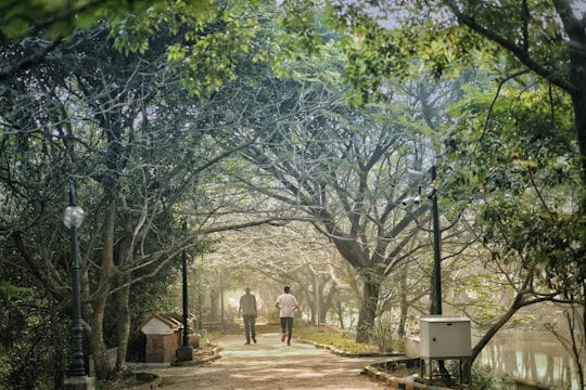 men walking on road near river in Calicut India