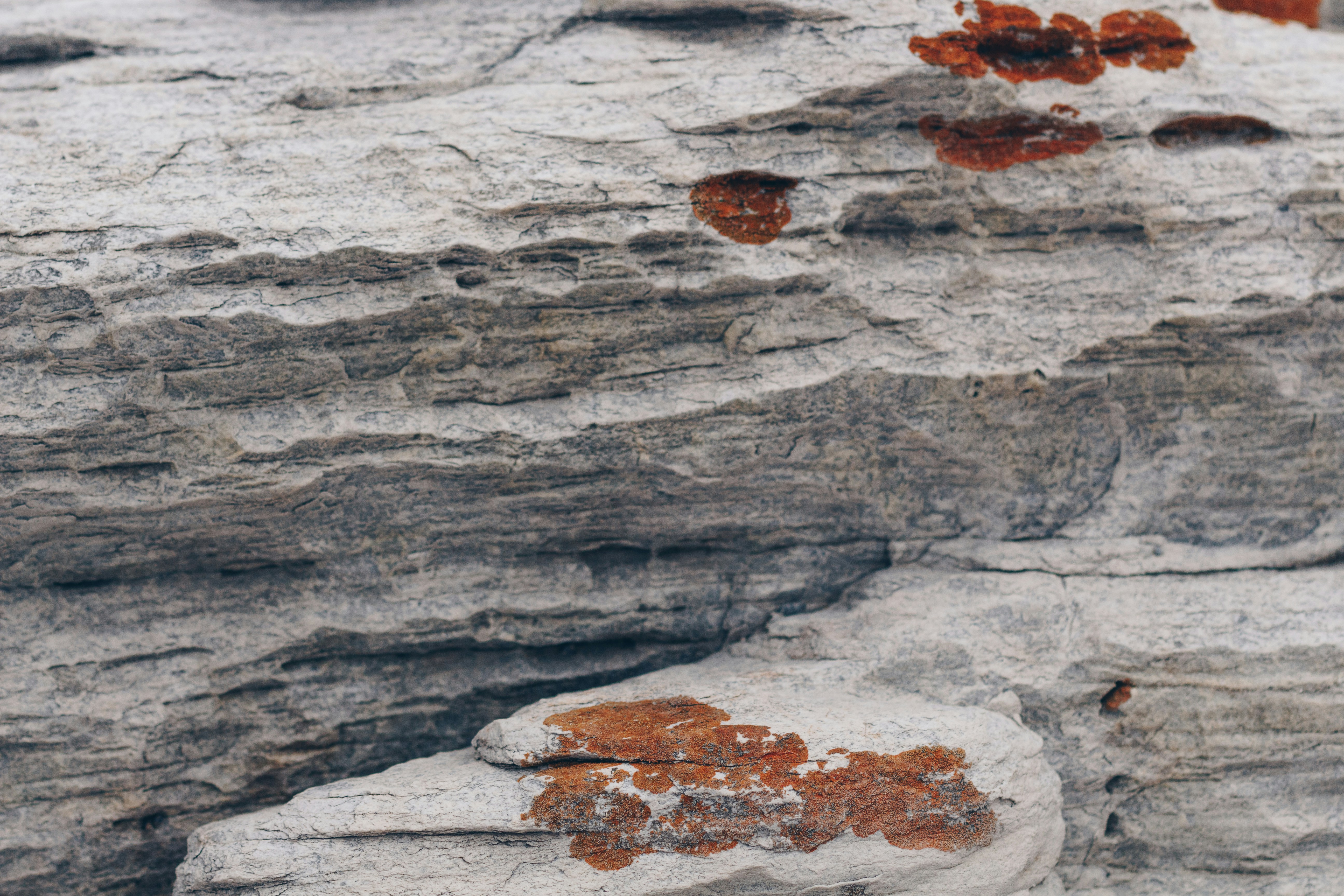 Photo by sincerelymedia