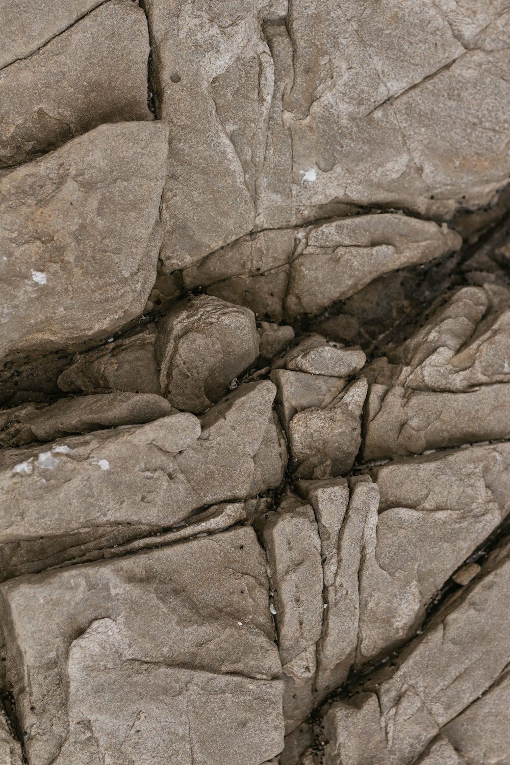 a bird is perched on a rock formation