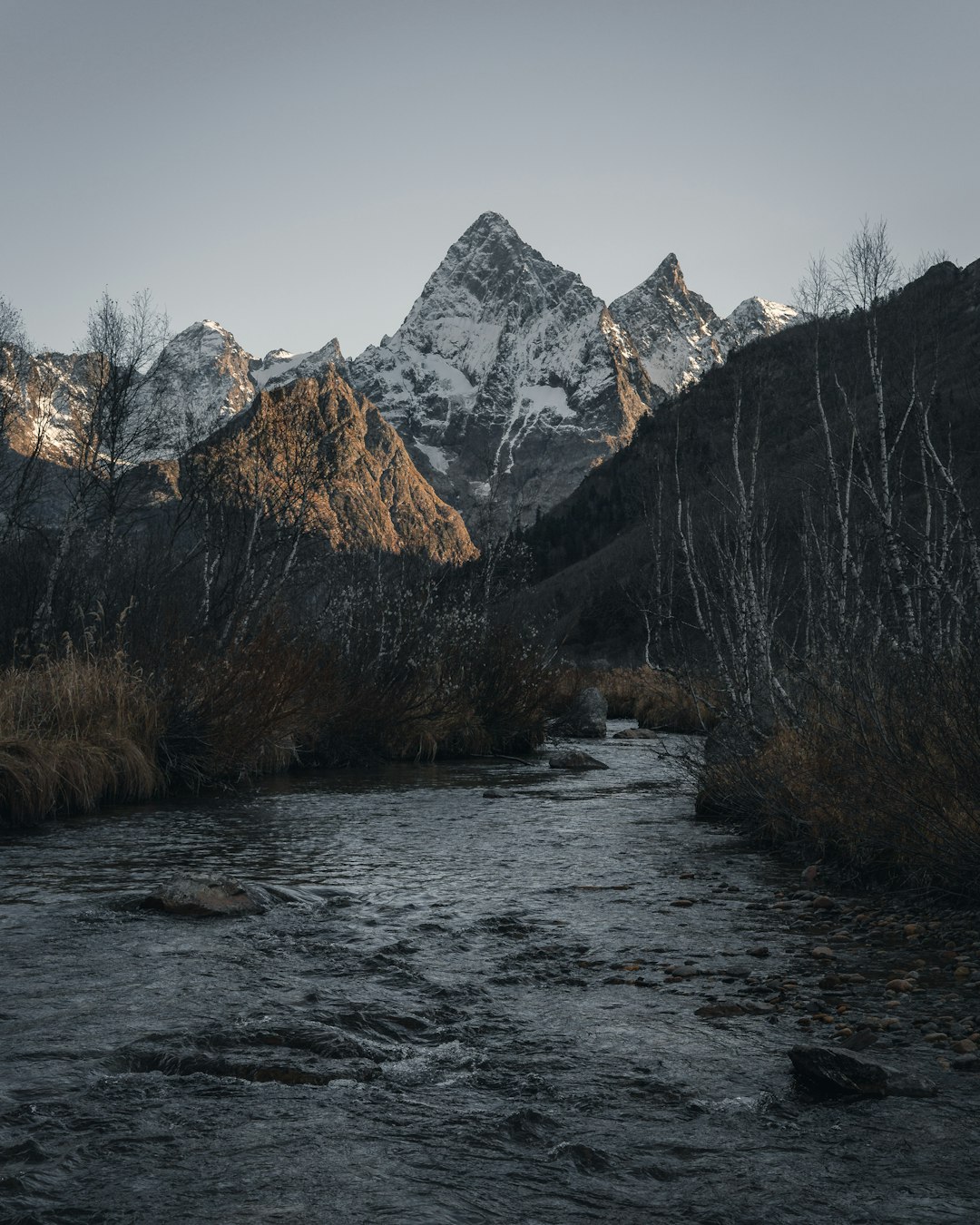 river between trees