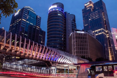gray concrete bridge near high-rise buildings