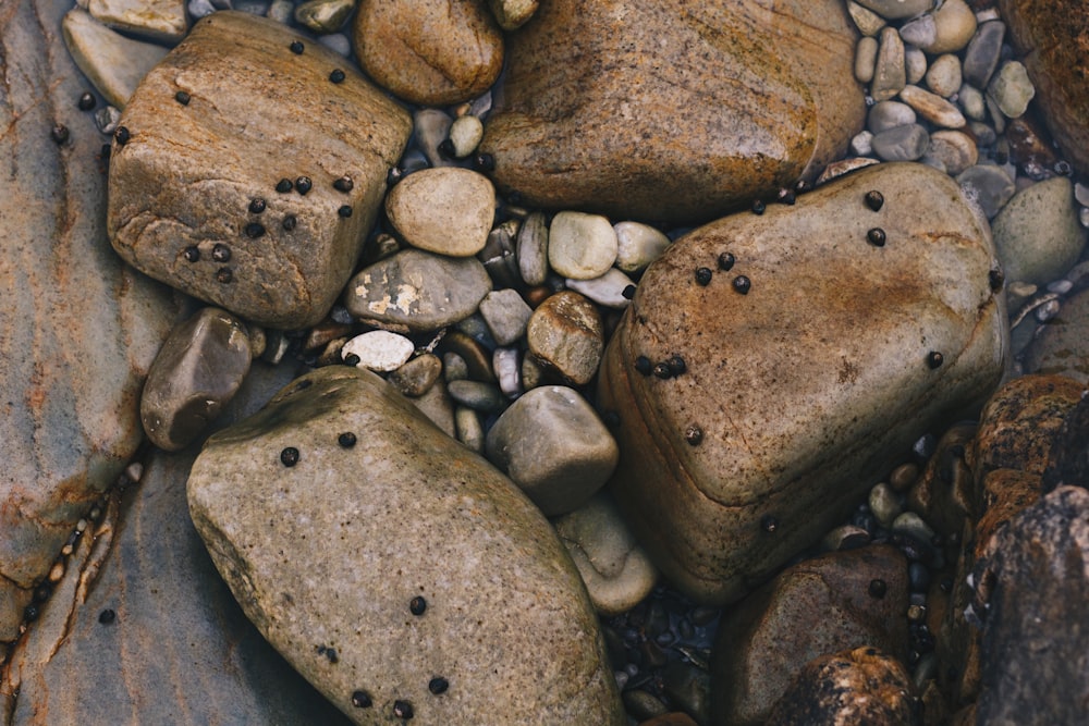 brown stones