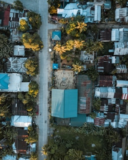 An aerial view of a small residential area featuring a central road lined with houses. The roofs vary in color and material, with some being rusted metal and others painted in vibrant colors. Several trees, including palm trees, are interspersed among the buildings, providing greenery. The overall layout is somewhat haphazard, indicating a densely packed neighborhood.