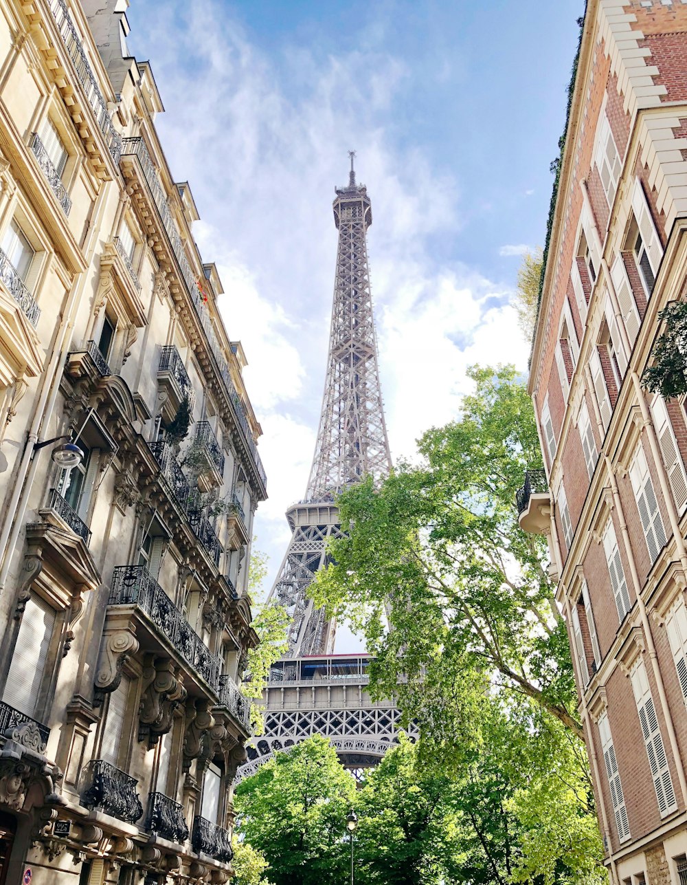 shallow focus photo of Eiffel tower during daytime